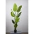 Import Artificial Plant Green Leaves Strelitzia Plastic Decorative Trees Banana Leaves Canna Bonsai Plant from China