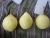 Import Asian juicy fresh ya pear directly from chinese supplier from China
