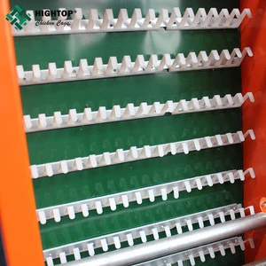 Automatic chicken cage egg collection from china system