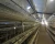 Import automatic quail farm quail laying cages from China