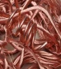 Best Grade Millberry 99.95% Pure Copper Wire Scrap For Sale