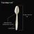 Import Biodegradable compostable CPLA cutlery set with knife fork spoon from China