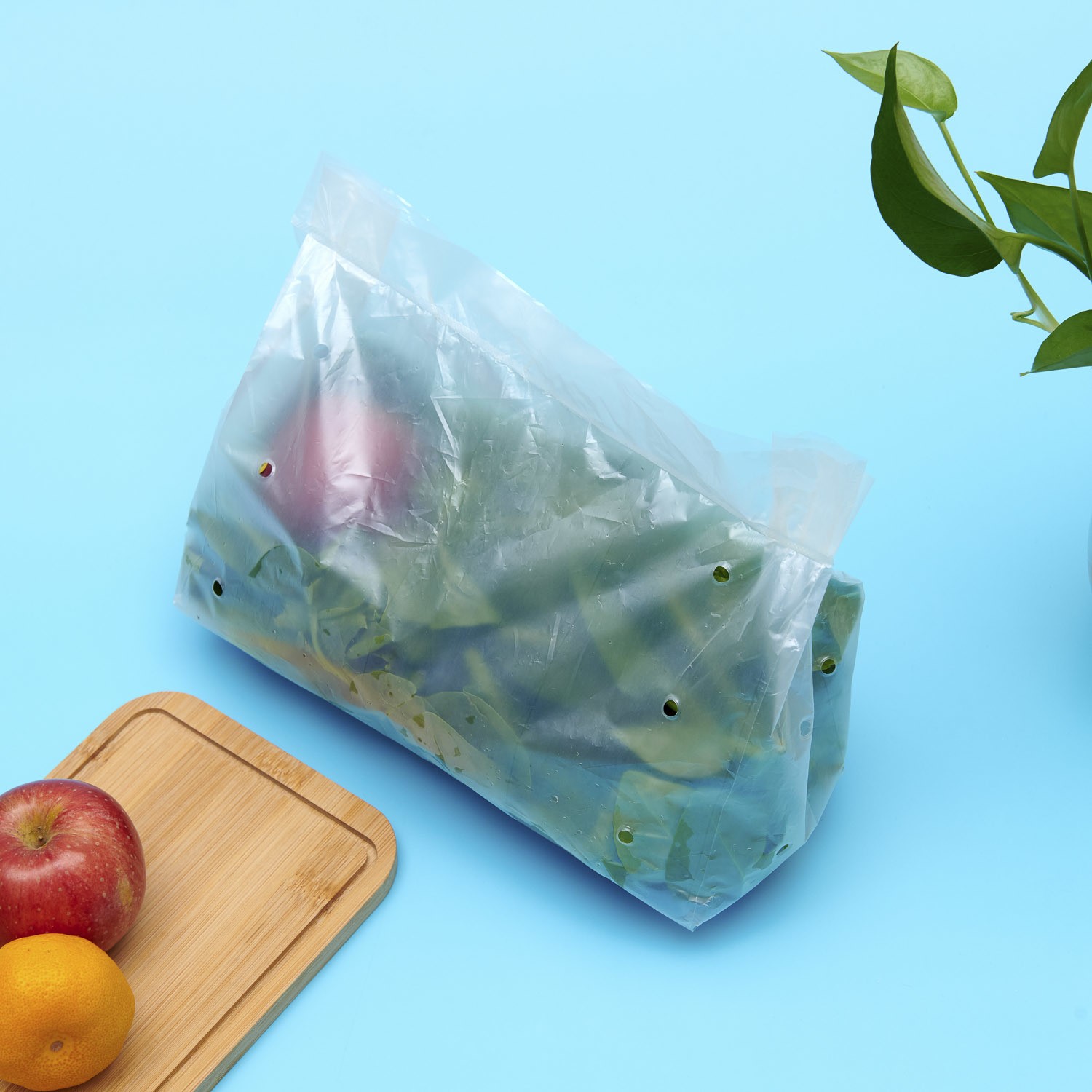 Biodegradable Custom Size Corn Starch Bag