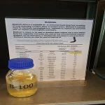 Biodiesel / B100 Thailand