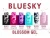 Import Bluesky new uv gel polish 6color popular nail polish manufacture China from China