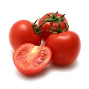 bulk fresh red tomatoes