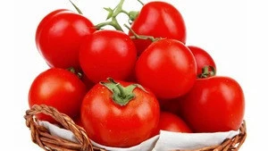 Certified Organic Fresh Tomatoes