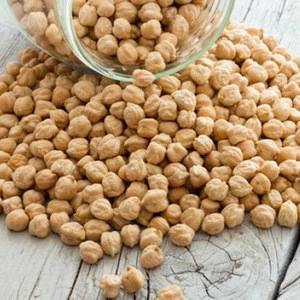 Cheap Price Wholesale White Chickpeas Best Quality