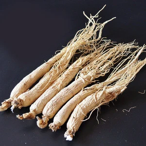 china High-quality  ginseng roots for sale raw crude herbs medicine natural ginseng