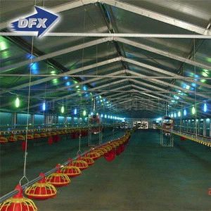china light steel frame poultry shed construction with equipments