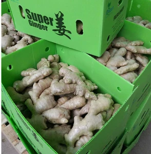 Chinese Air-dried Fresh Ginger
