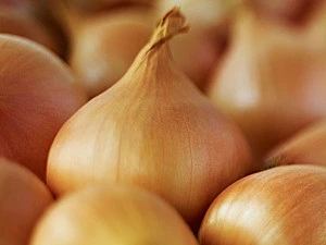 Chinese  Supply Cheap Yellow Fresh Onion