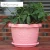 Import Colorful Flower Plant Container Seedlings Nursery Pots Planter  with Pallet from China