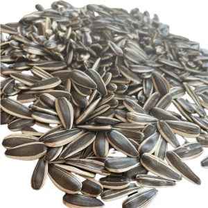 Competitive Quality sunflower seeds roasted roasted sunflower seed packed