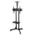 Import conference cart 32-65 inch LCD TV display rack TV mobile bracket video adjustable Movable TV stand from China