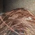 Import Copper Wire Scraps 99.99% purity Brass Scraps copper wire scrap from south africa from China