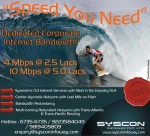CORPORATE INTERNET SERVICES