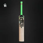 Cricket bat CA Plus 15000 English Willow in Light weight
