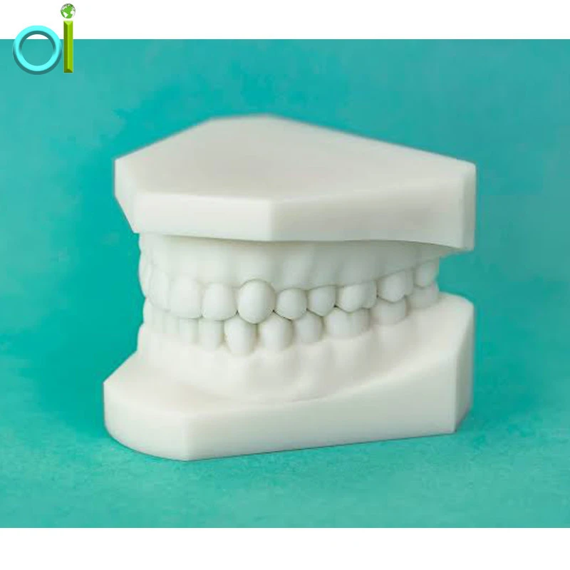 Customized High-precision 3D printing SLA Medical grade photosensitive resin frasaco teeth model