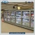 Import DDW Series Glass Door Display Refrigerator Commercial Freezer Cabinet for Supermarket from China