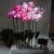 Import Decoration Solar Led Artificial Phalaenopsis Orchid Flower With Long Stem from China