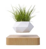 Decorative Indoor Garden Plastic Flower Magnetic Levitating Bonsai Plants
