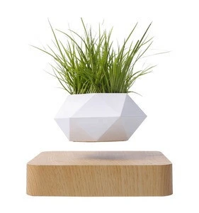 Decorative Indoor Garden Plastic Flower Magnetic Levitating Bonsai Plants