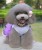 Import dog accessories Spring Summer Pet Cotton Breathable Clothes, Love Heart Bowknot Bubble Dress For Small Dogs, Purple/Red from China