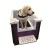 Import Dog wash baths dog grooming baths for sale from China