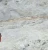 Import Dolomite stone and powder from Sri Lanka