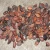 Import Dried Fermented Cacao +Dried Raw Cocoa Beans +Organic from China