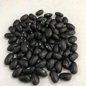 Dry high quality black kidney beans for sale
