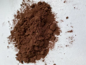 Elderberry Dry Extract Powder, 10:1