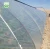 Import Factory price agricultural plastic 200 micron plastic greenhouse film for garden for sale from China