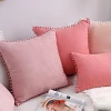 Factory Price New Arrival Decorative Throw Pillow Covers Sofa Pillow Case