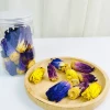 Factory price OEM Customizable Natural Dried Blue Lotus Buds Blooming Flower Tea