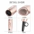 Import Factory Wholesale Best Quality 1600W Hair Dryer High Power Household Electronic Foldable Double voltage  Hair Dryer from China