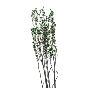 Fancy Deep Green  Color Aroma Reed Diffuser Flowers Dried Flowers for Room Decor