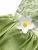 Import Fancy Girls Tiana Dress Up Costume Kids Cosplay The Frog Princess Children Birthday Party Halloween Dresses from China
