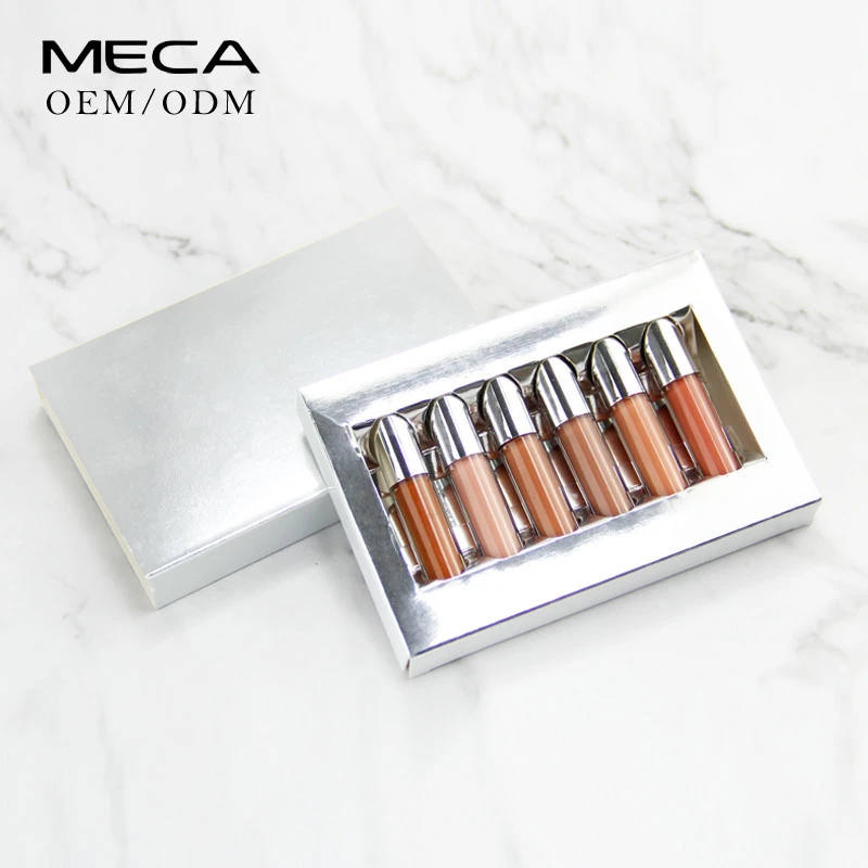Fashional new style cosmetics matte lipstick set 6 in 1 combination lip kit hot sell customized liquid lip gloss set