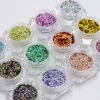 Feishi 12 colors Holographic Iridescent Mix Nails Polish Glitter Pigment