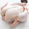Find the Best Quality Frozen Halal Chicken Parts and Whole Chicken for Export