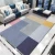 Import Fluffy Living Room Carpets easy clean custom good quality home decoration Indoor Modern from China