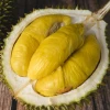 Fresh Malaysia Frozen Whole Durian Musang King Fruits