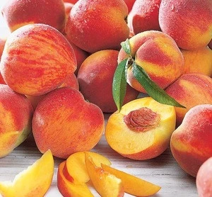 FRESH PEACHES /High Quality Fresh Wild Peach With Sweet And Honey Flavor