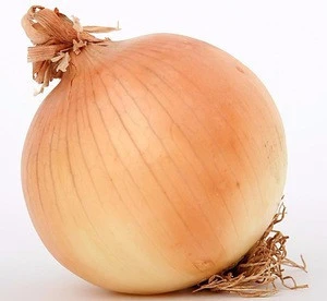 Fresh Red Onion Yellow Onions