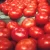 Import Fresh red tomatoes from United Kingdom