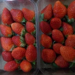 Fresh Strawberry, Frozen Strawberry, Berries Fresh Berries Fruits