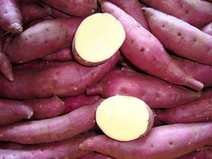 Fresh Sweet Potatoes for sale