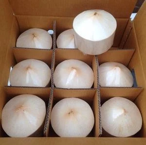 FRESH YOUNG COCONUTS for sale